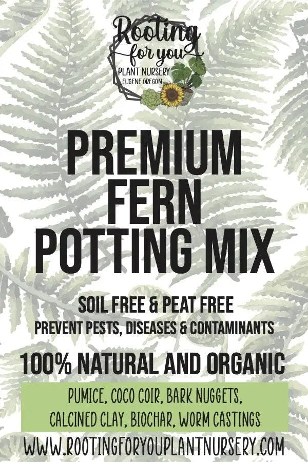 Rooting for You Fern Premium Potting Mix